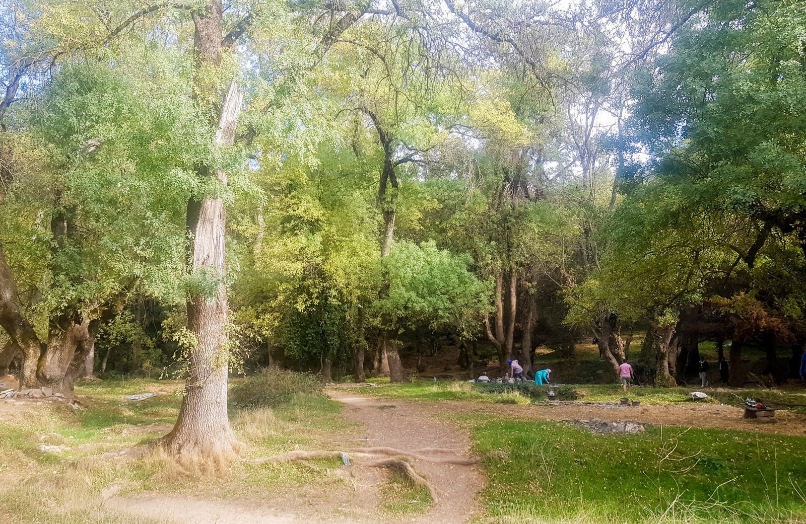 Ain Vittel spring Ifrane