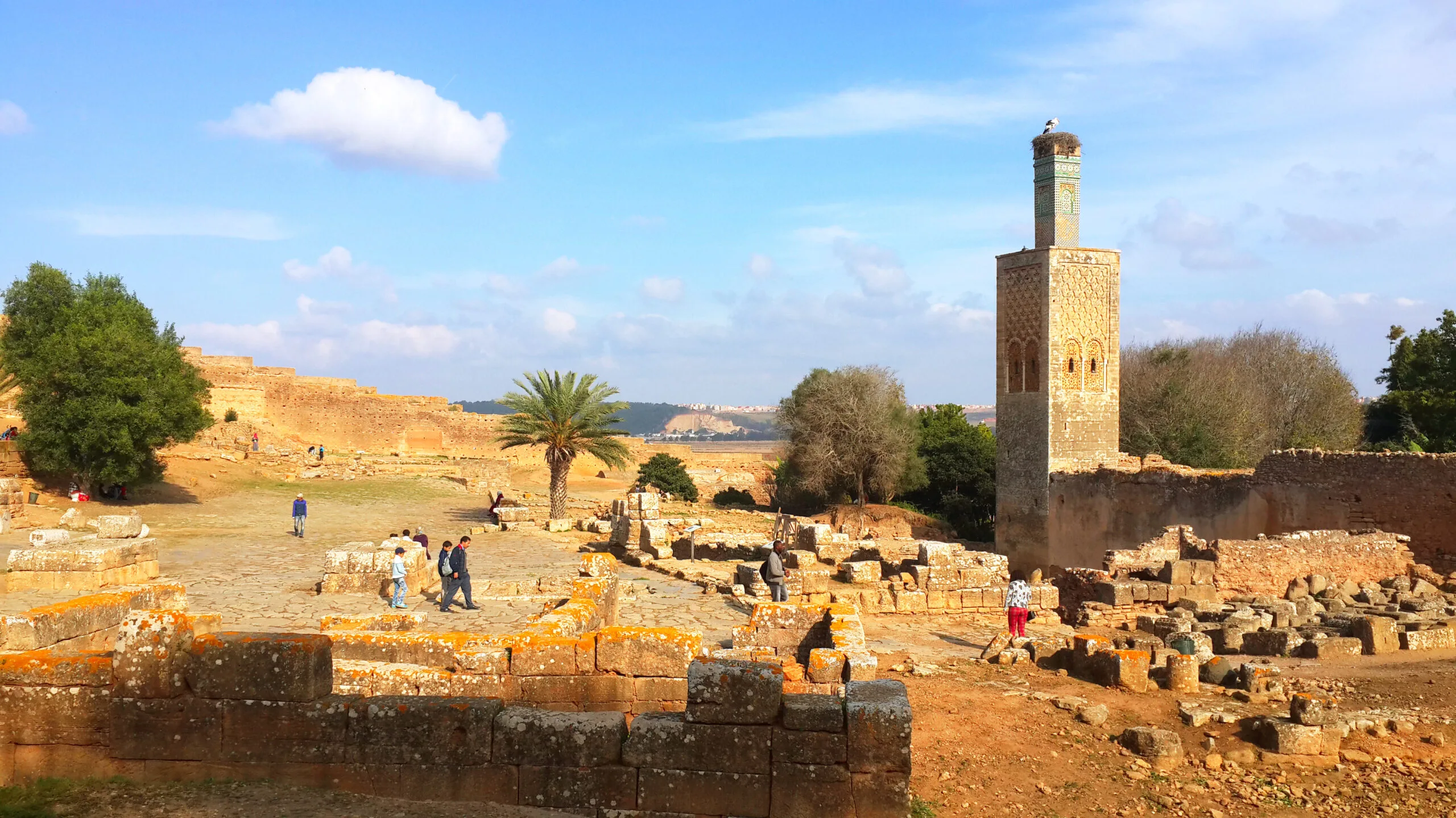 Chellah Necropolis storks Rabat