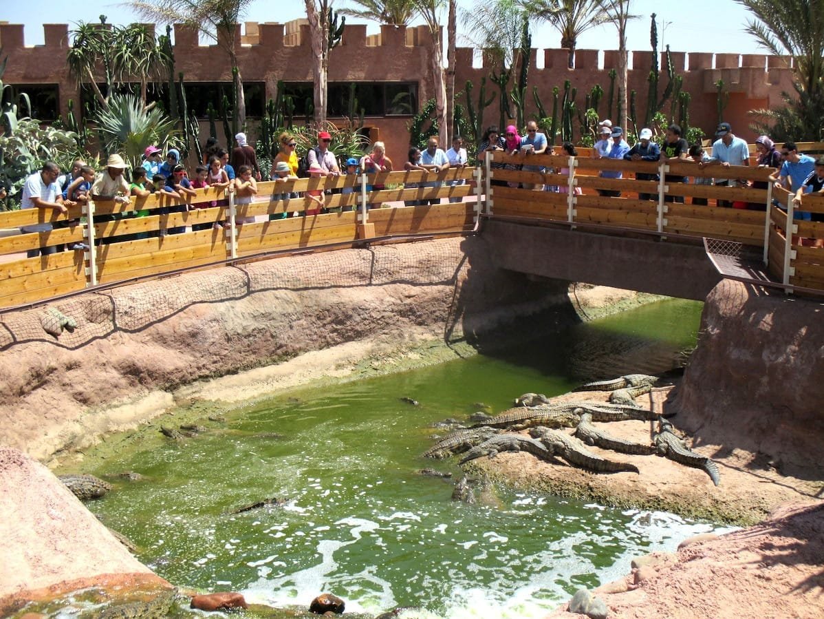 Crocoparc Agadir