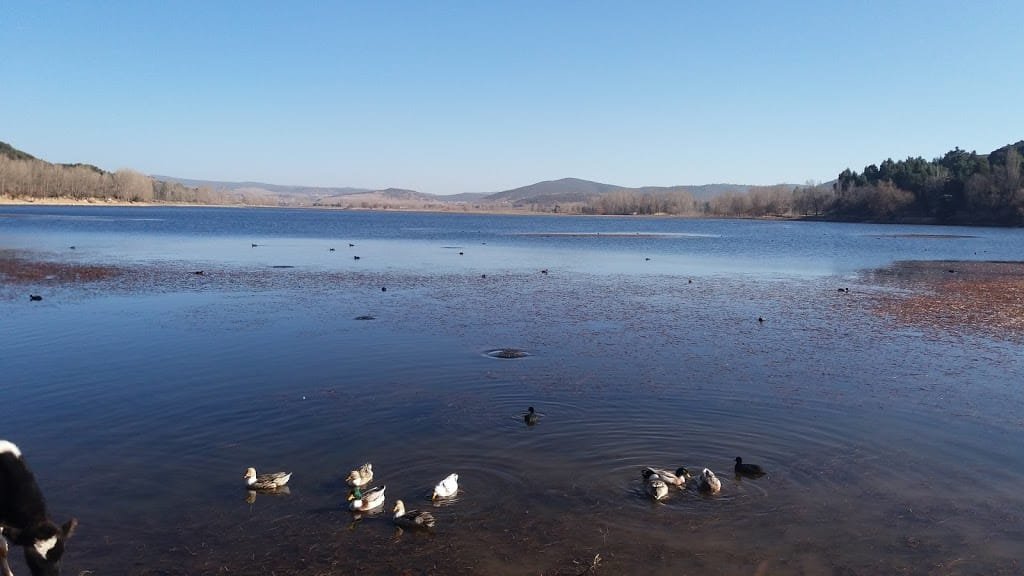 Dayet Aoua lake Ifrane