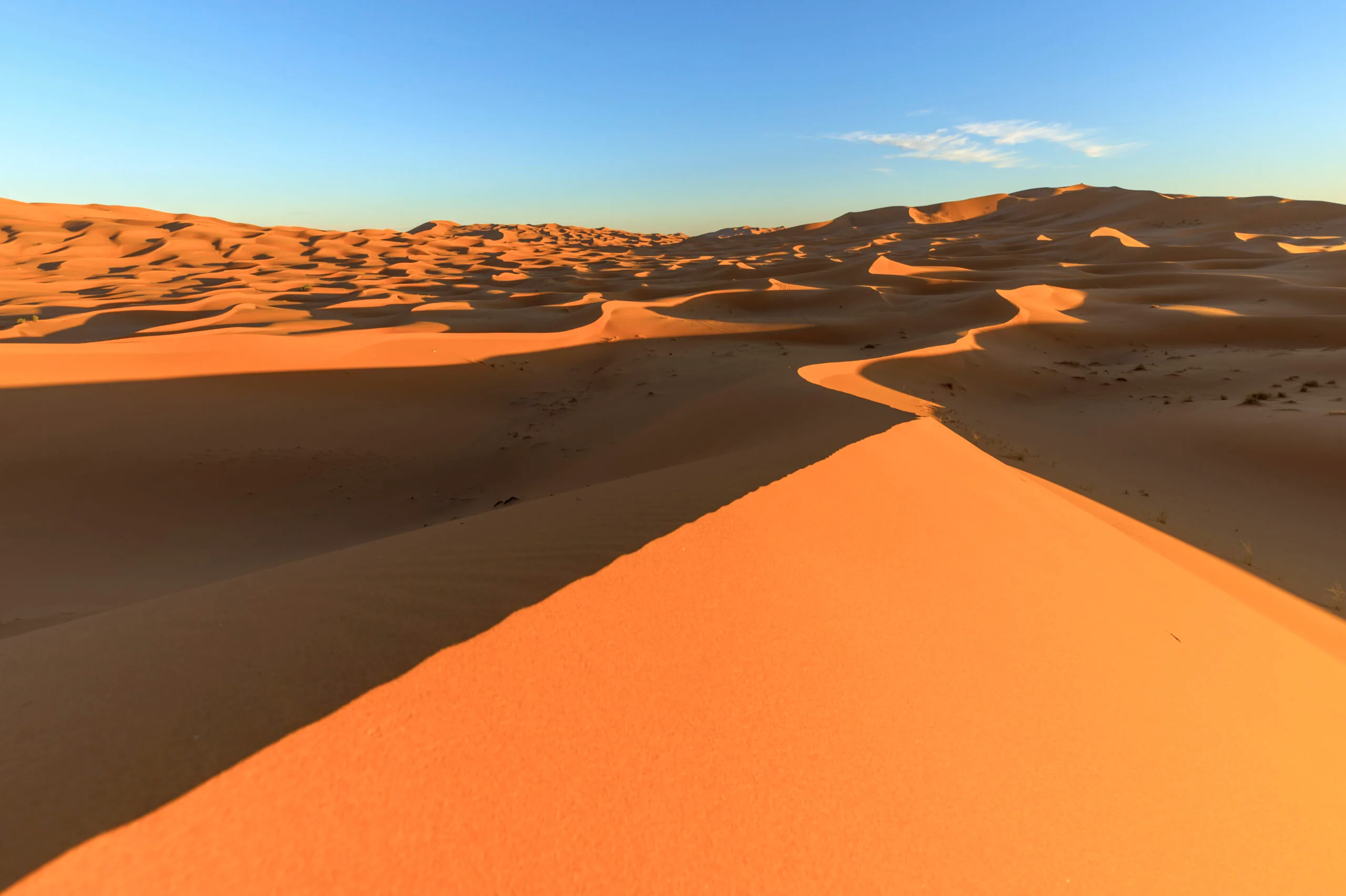 Merzouga Sahara Dunes