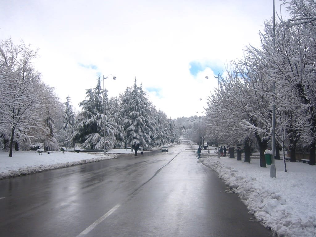 Ifrane Snow and Alpine Houses