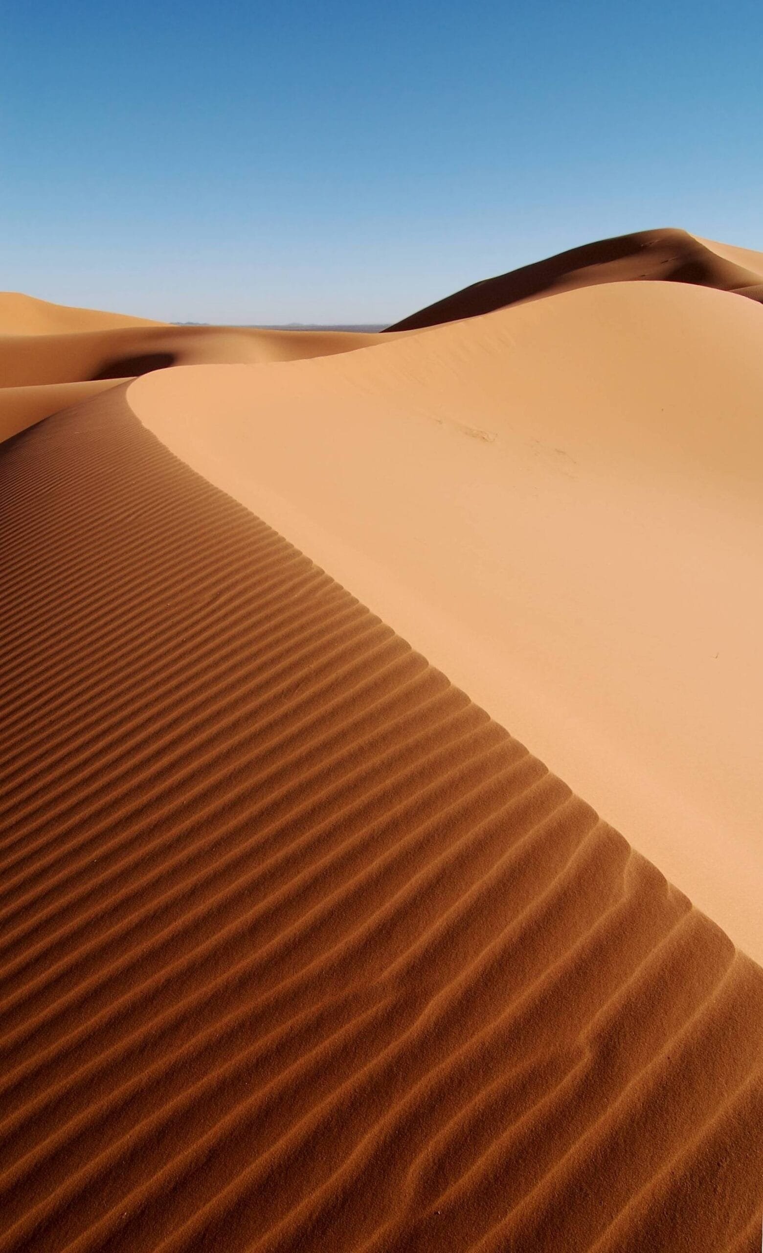 Erg Chebbi Dunes Merzouga
