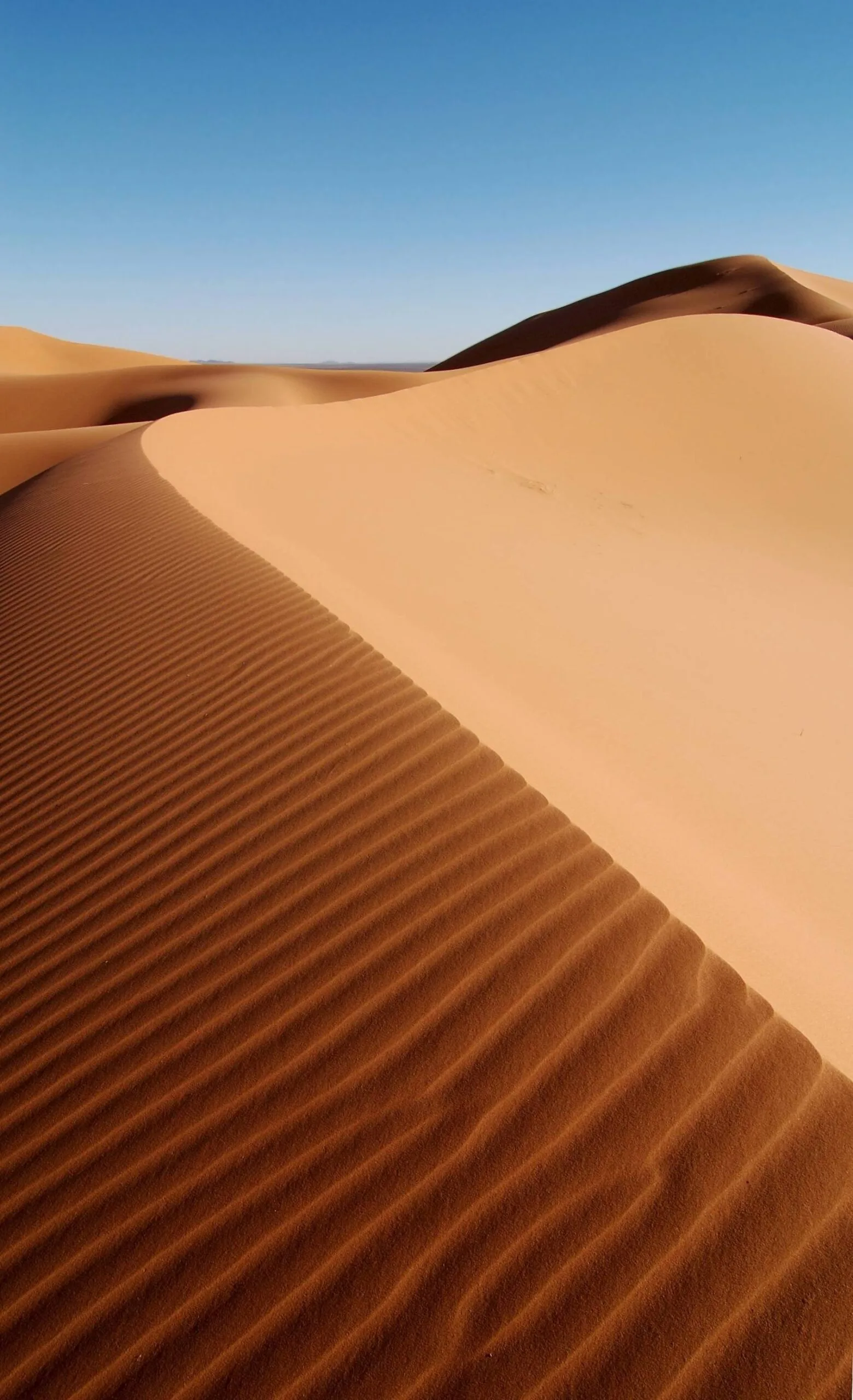 Erg Chebbi Dunes Merzouga