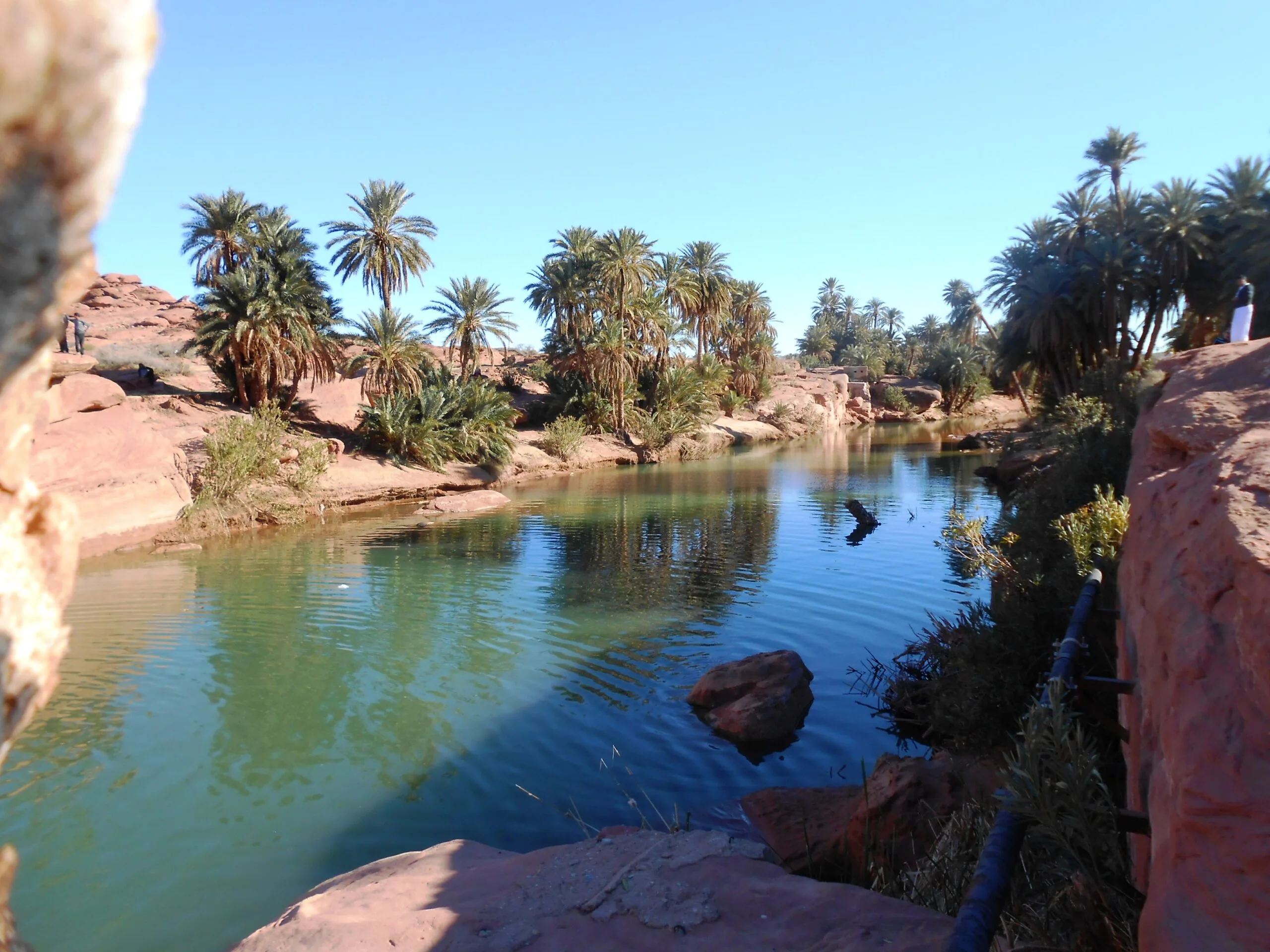 Tiout Oasis Taroudant