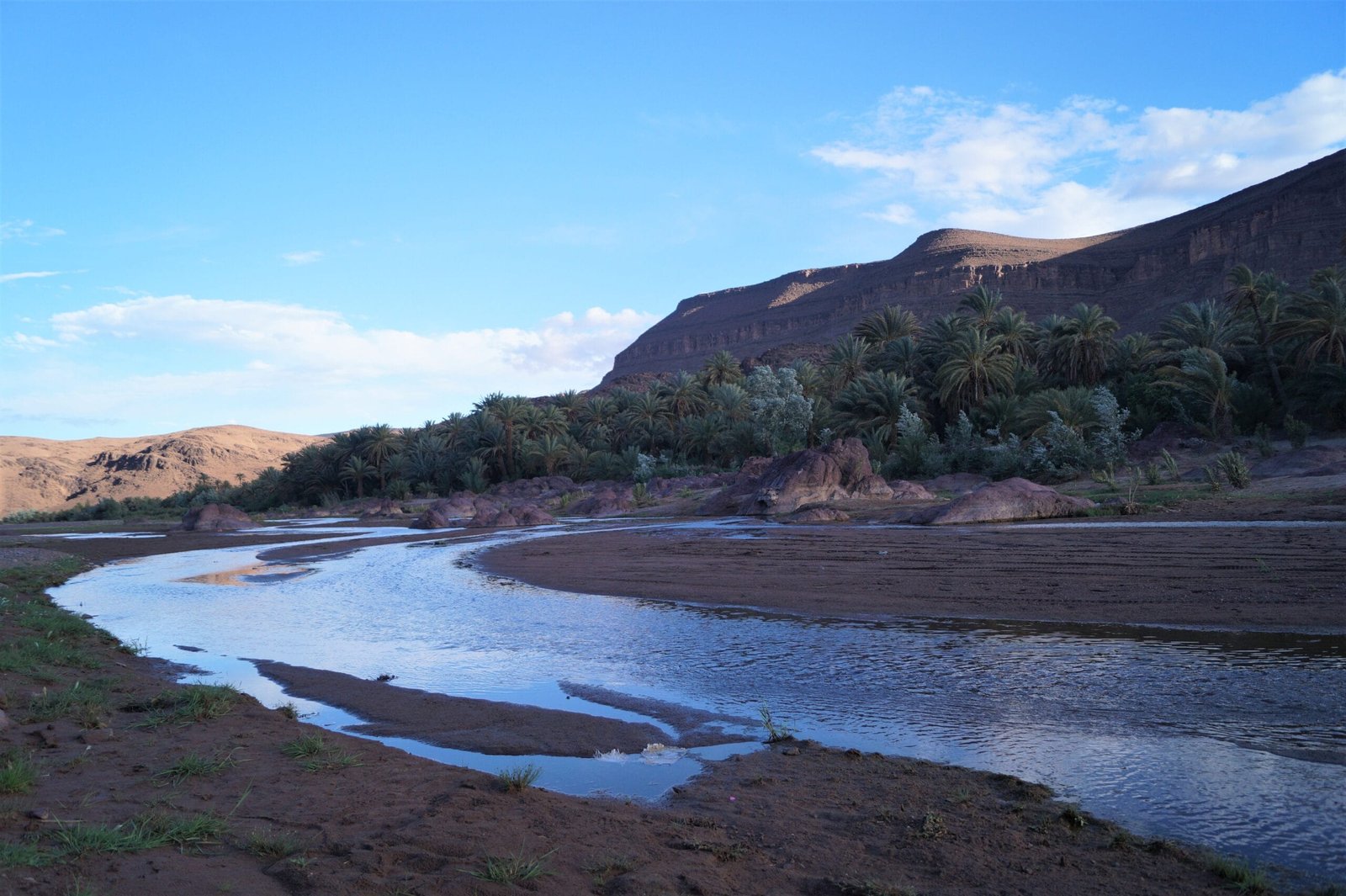 Fint Oasis near Ouarzazate