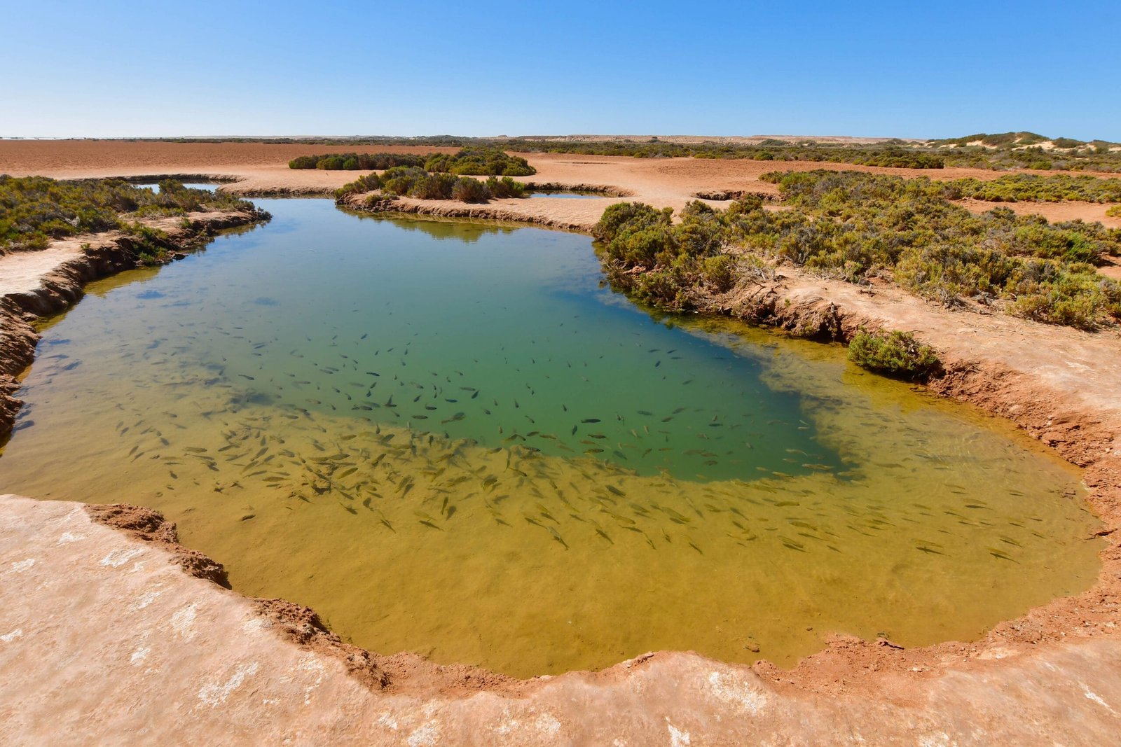 Imlili Desert Pools Dakhla