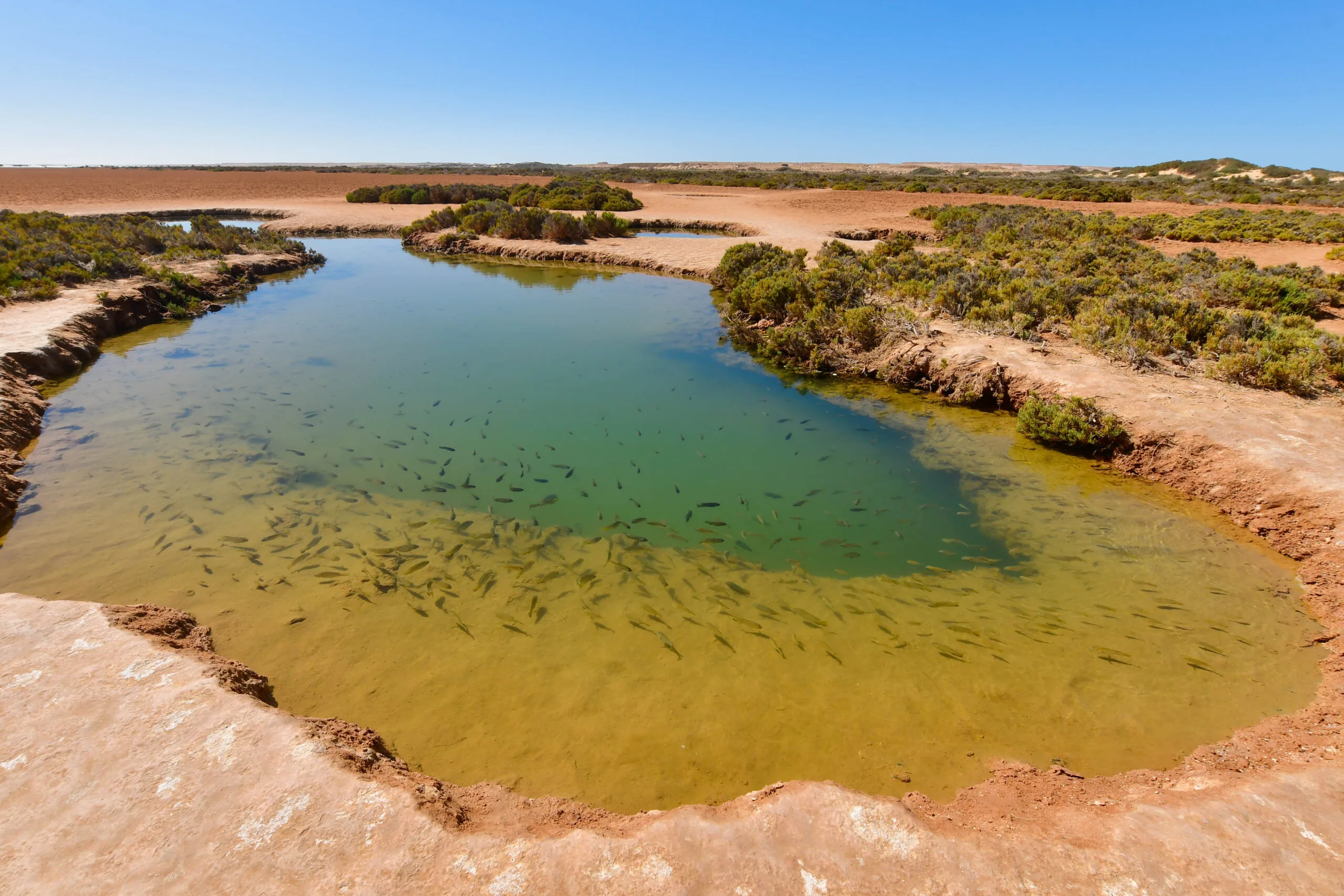 Imlili Desert Pools Dakhla