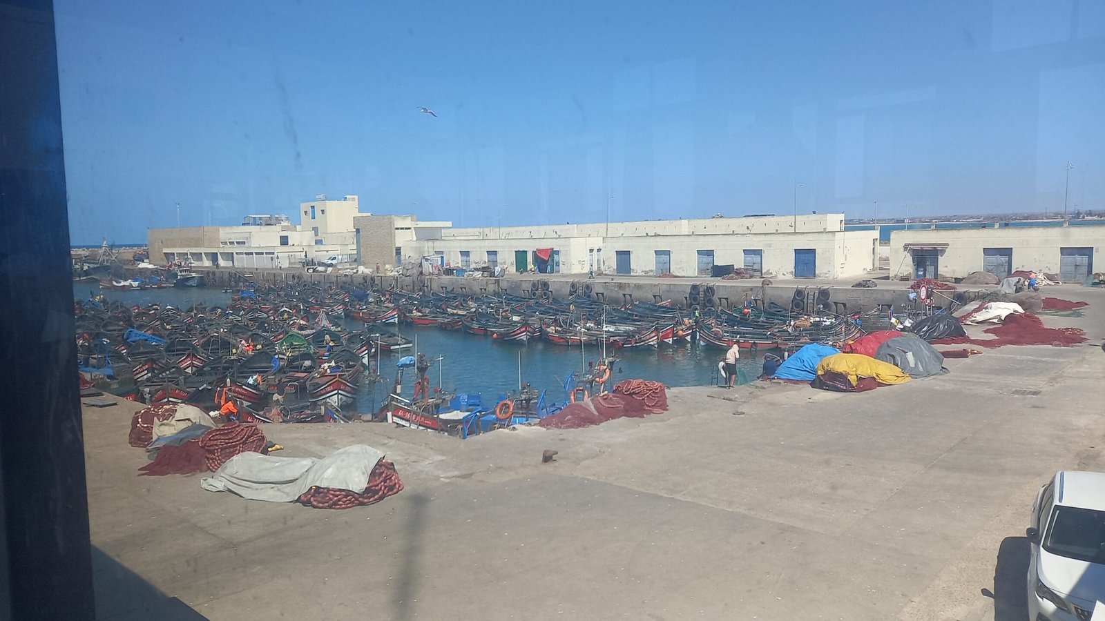 El Jadida Port Fish Market