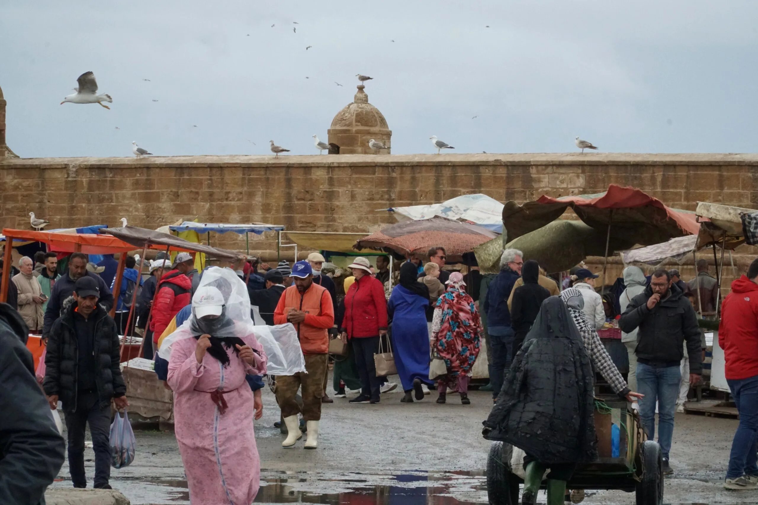Essaouira Fishing Port