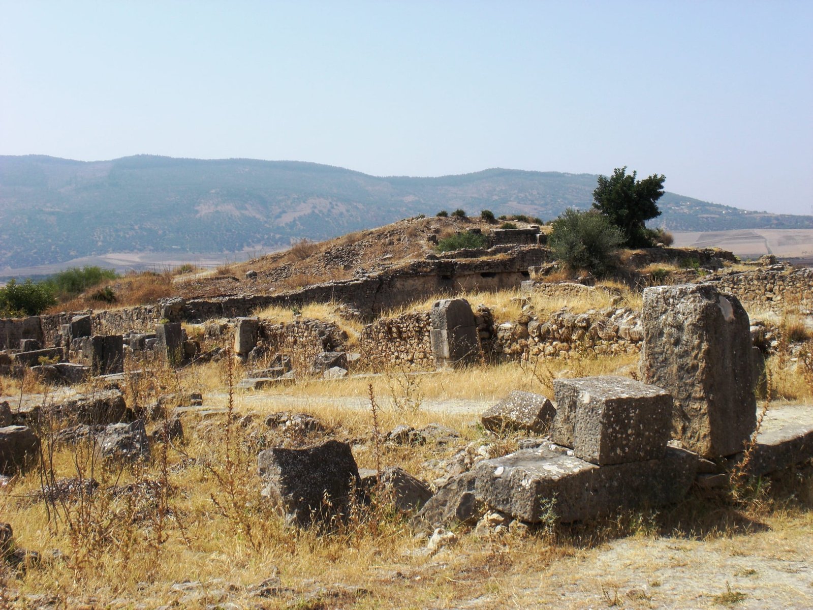 Volubilis Roman Ruins near Meknes