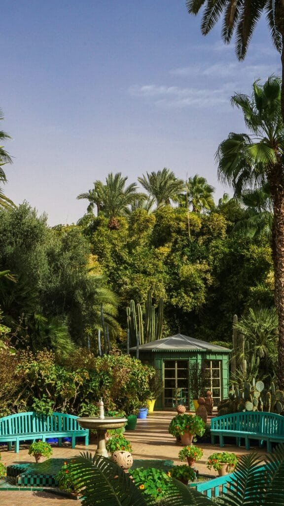 Palm garden in Marrakech