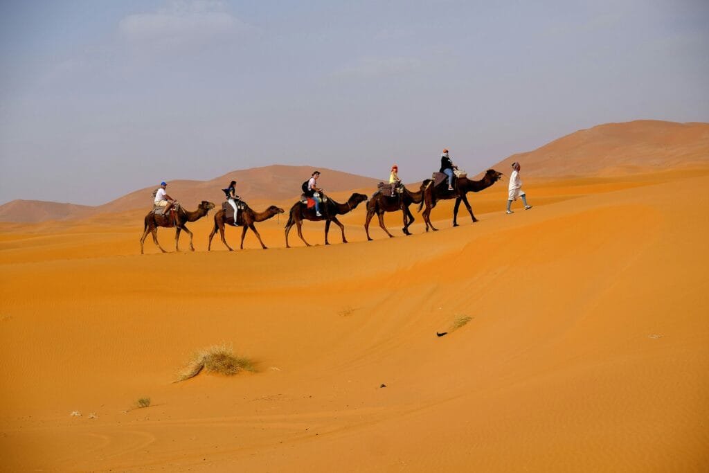 Camel caravan crossing the Erg Chebbi dunes near Merzouga